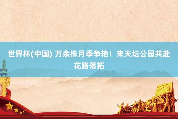 世界杯(中国) 万余株月季争艳!来天坛公园共赴花路落拓