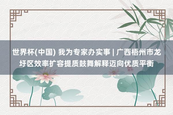 世界杯(中国) 我为专家办实事 | 广西梧州市龙圩区效率扩容提质鼓舞解释迈向优质平衡