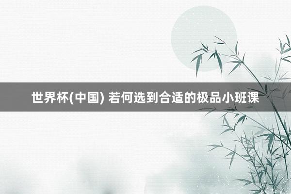 世界杯(中国) 若何选到合适的极品小班课