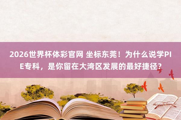 2026世界杯体彩官网 坐标东莞！为什么说学PIE专科，是你留在大湾区发展的最好捷径？