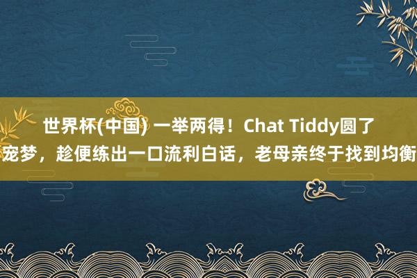 世界杯(中国) 一举两得!Chat Tiddy圆了养宠梦,趁便练出一口流利白话,老母亲终于找到均衡点