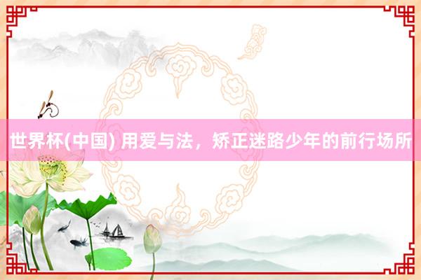 世界杯(中国) 用爱与法，矫正迷路少年的前行场所