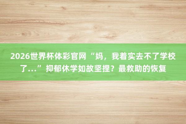 2026世界杯体彩官网 “妈,我着实去不了学校了…” 抑郁休学如故坚捏?最救助的恢复