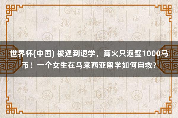 世界杯(中国) 被逼到退学，膏火只返璧1000马币！一个女生在马来西亚留学如何自救？