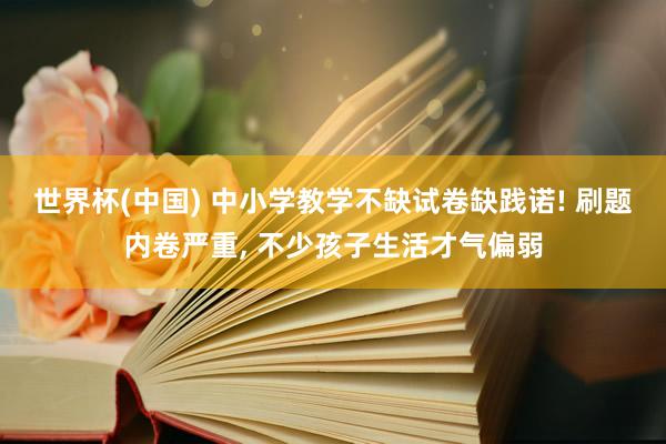 世界杯(中国) 中小学教学不缺试卷缺践诺! 刷题内卷严重， 不少孩子生活才气偏弱