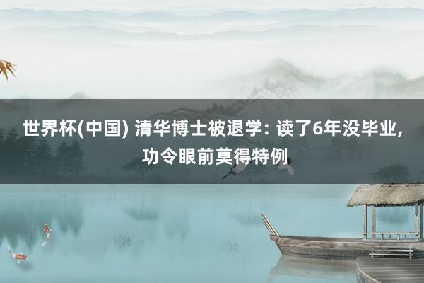 世界杯(中国) 清华博士被退学: 读了6年没毕业， 功令眼前莫得特例