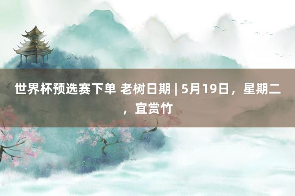 世界杯预选赛下单 老树日期 | 5月19日，星期二，宜赏竹