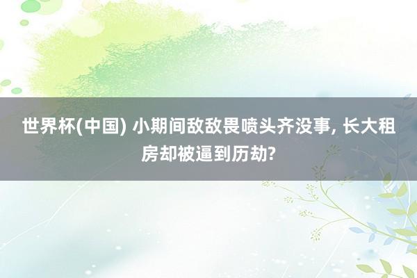 世界杯(中国) 小期间敌敌畏喷头齐没事, 长大租房却被逼到历劫?