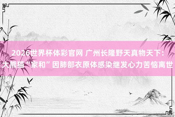 2026世界杯体彩官网 广州长隆野天真物天下:大熊猫“家和”因肺部衣原体感染继发心力苦恼离世