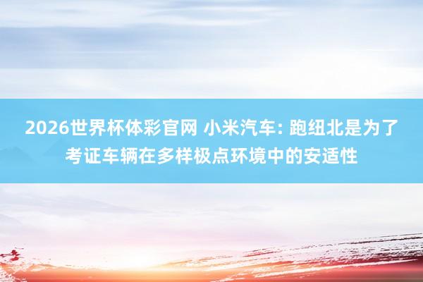 2026世界杯体彩官网 小米汽车: 跑纽北是为了考证车辆在多样极点环境中的安适性