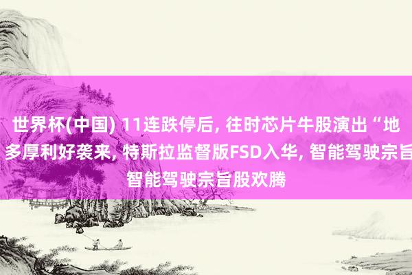 世界杯(中国) 11连跌停后, 往时芯片牛股演出“地天板”! 多厚利好袭来, 特斯拉监督版FSD入华, 智能驾驶宗旨股欢腾