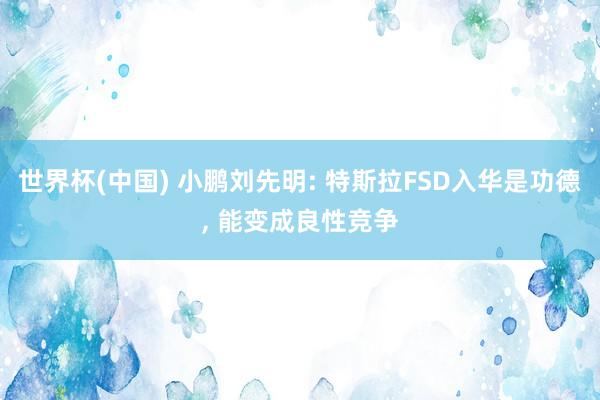 世界杯(中国) 小鹏刘先明: 特斯拉FSD入华是功德, 能变成良性竞争