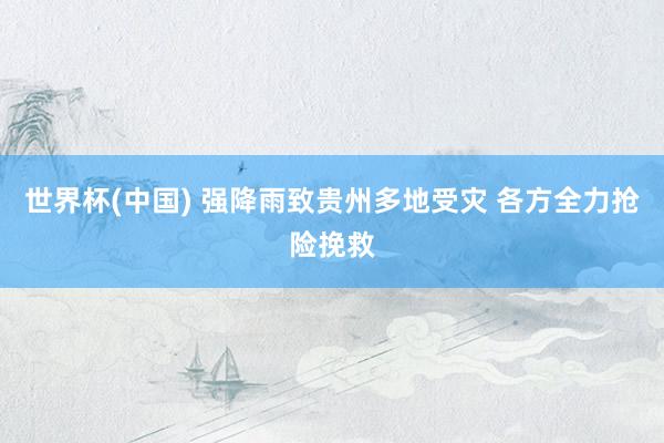世界杯(中国) 强降雨致贵州多地受灾 各方全力抢险挽救