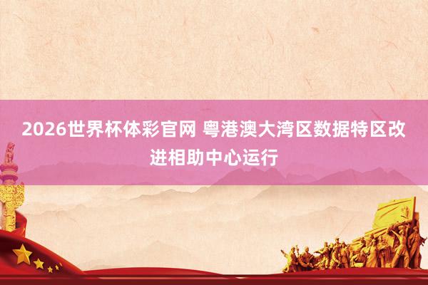 2026世界杯体彩官网 粤港澳大湾区数据特区改进相助中心运行
