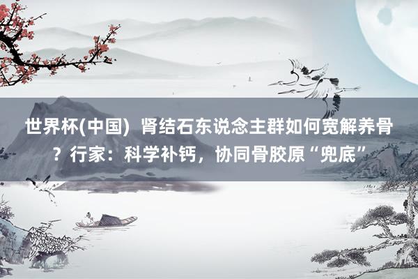世界杯(中国) 肾结石东说念主群如何宽解养骨?行家:科学补钙,协同骨胶原“兜底”