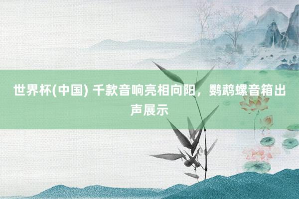 世界杯(中国) 千款音响亮相向阳，鹦鹉螺音箱出声展示