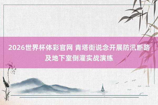 2026世界杯体彩官网 青塔街说念开展防汛断路及地下室倒灌实战演练