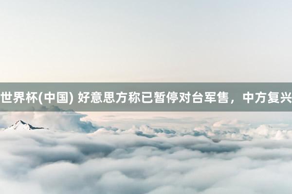 世界杯(中国) 好意思方称已暂停对台军售,中方复兴