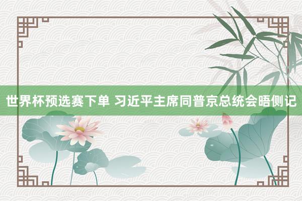 世界杯预选赛下单 习近平主席同普京总统会晤侧记