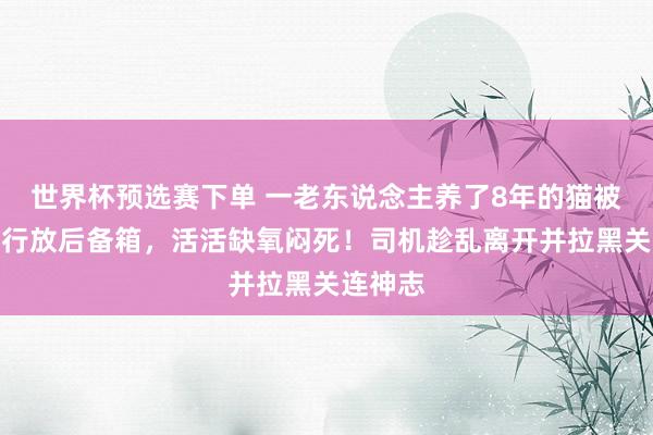 世界杯预选赛下单 一老东说念主养了8年的猫被司机强行放后备箱,活活缺氧闷死!司机趁乱离开并拉黑关连神志