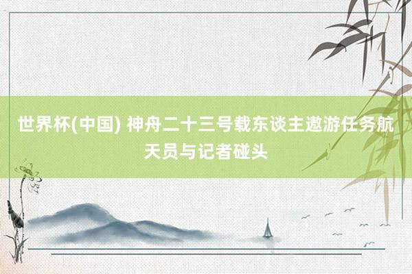 世界杯(中国) 神舟二十三号载东谈主遨游任务航天员与记者碰头