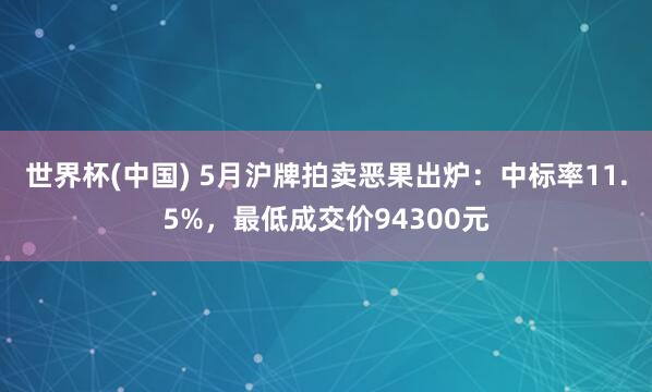 世界杯(中国) 5月沪牌拍卖恶果出炉:中标率11.5%,最低成交价94300元