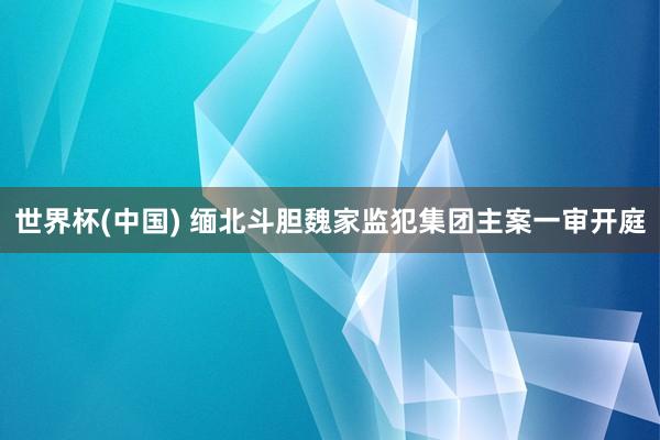 世界杯(中国) 缅北斗胆魏家监犯集团主案一审开庭