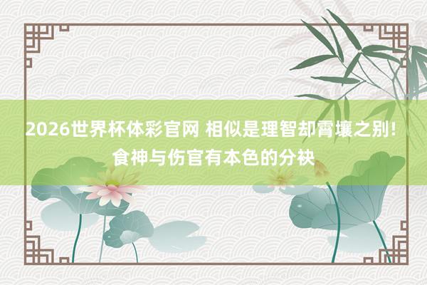2026世界杯体彩官网 相似是理智却霄壤之别! 食神与伤官有本色的分袂