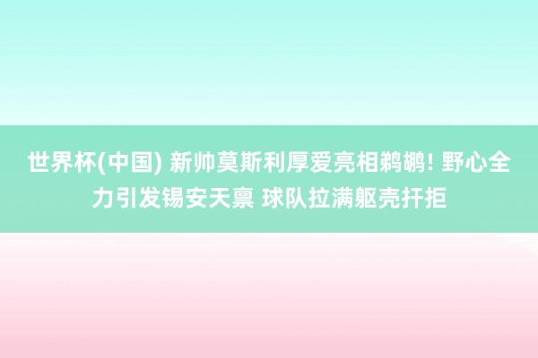 世界杯(中国) 新帅莫斯利厚爱亮相鹈鹕! 野心全力引发锡安天禀 球队拉满躯壳扞拒