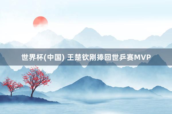 世界杯(中国) 王楚钦刚捧回世乒赛MVP
