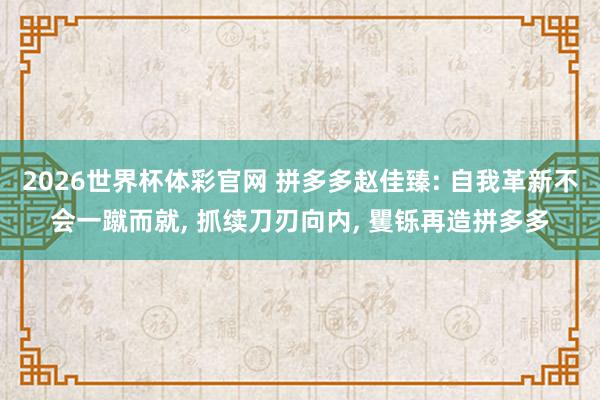 2026世界杯体彩官网 拼多多赵佳臻: 自我革新不会一蹴而就, 抓续刀刃向内, 矍铄再造拼多多