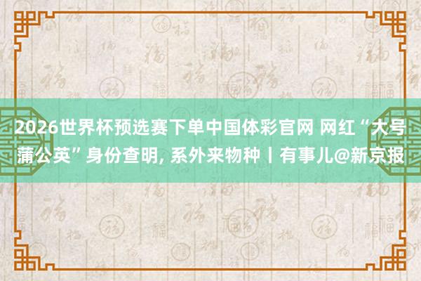 2026世界杯预选赛下单中国体彩官网 网红“大号蒲公英”身份查明， 系外来物种丨有事儿@新京报