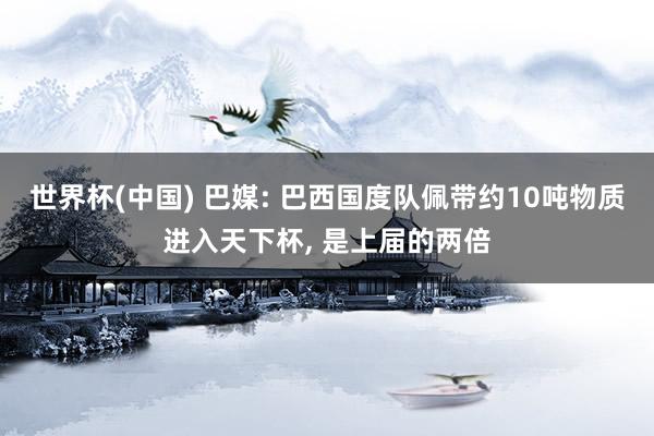世界杯(中国) 巴媒: 巴西国度队佩带约10吨物质进入天下杯, 是上届的两倍