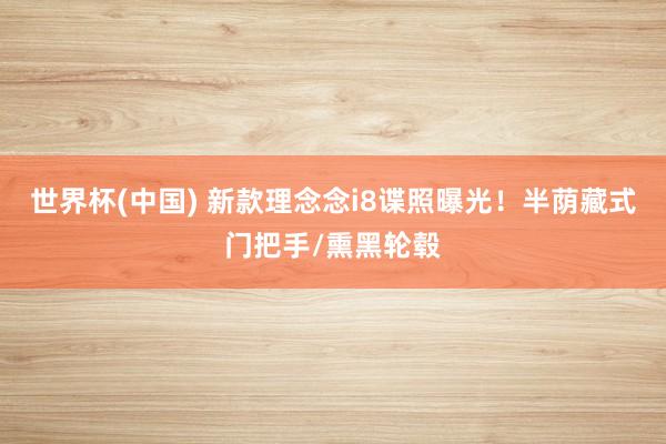 世界杯(中国) 新款理念念i8谍照曝光!半荫藏式门把手/熏黑轮毂