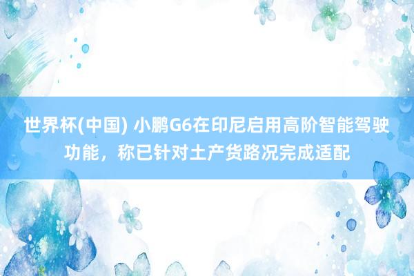世界杯(中国) 小鹏G6在印尼启用高阶智能驾驶功能,称已针对土产货路况完成适配