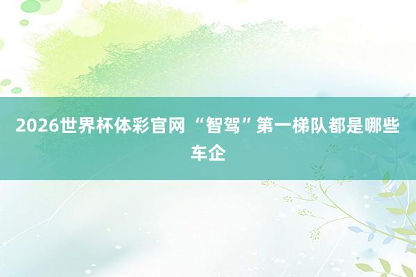 2026世界杯体彩官网 “智驾”第一梯队都是哪些车企