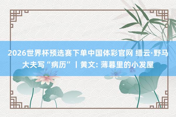 2026世界杯预选赛下单中国体彩官网 缙云·野马大夫写“病历”丨黄文: 薄暮里的小发屋