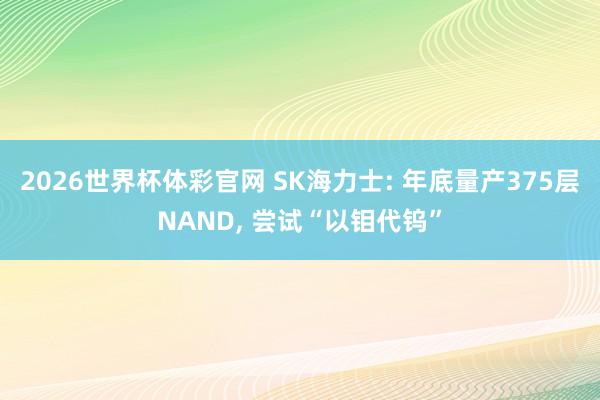 2026世界杯体彩官网 SK海力士: 年底量产375层NAND， 尝试“以钼代钨”