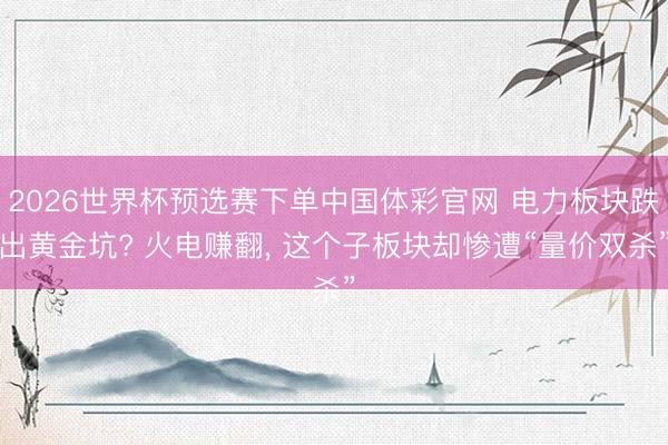 2026世界杯预选赛下单中国体彩官网 电力板块跌出黄金坑? 火电赚翻， 这个子板块却惨遭“量价双杀”