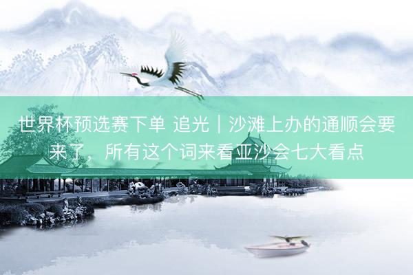 世界杯预选赛下单 追光｜沙滩上办的通顺会要来了，所有这个词来看亚沙会七大看点