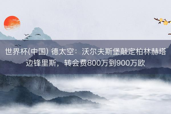 世界杯(中国) 德太空：沃尔夫斯堡敲定柏林赫塔边锋里斯，转会费800万到900万欧
