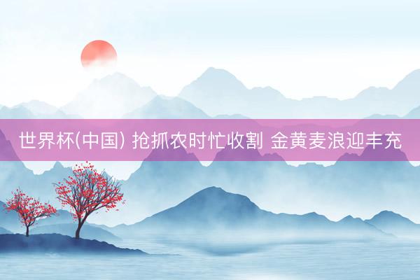 世界杯(中国) 抢抓农时忙收割 金黄麦浪迎丰充
