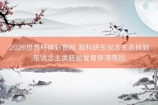 2026世界杯体彩官网 我科研东说念主员找到东说念主类胚胎发育停滞原因