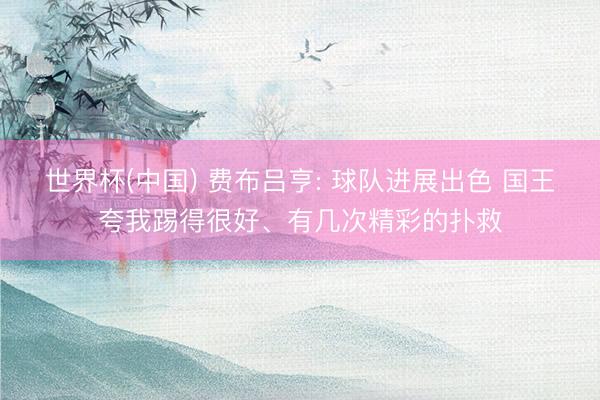 世界杯(中国) 费布吕亨: 球队进展出色 国王夸我踢得很好、有几次精彩的扑救